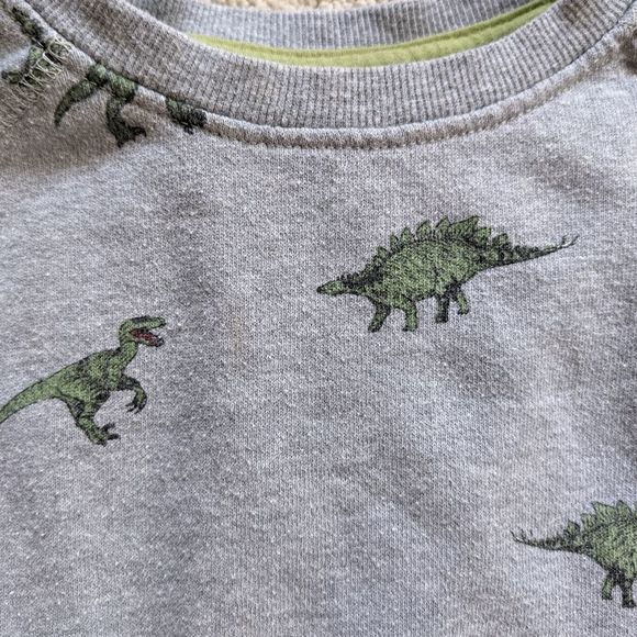 Dinosaur Sweatshirt - Picture 3 of 4
